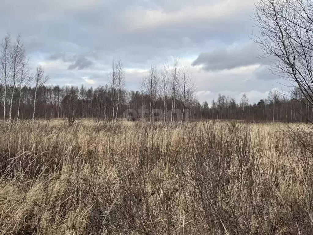 Участок в Костромская область, Нерехтский район, Воскресенское с/пос, ... - Фото 1