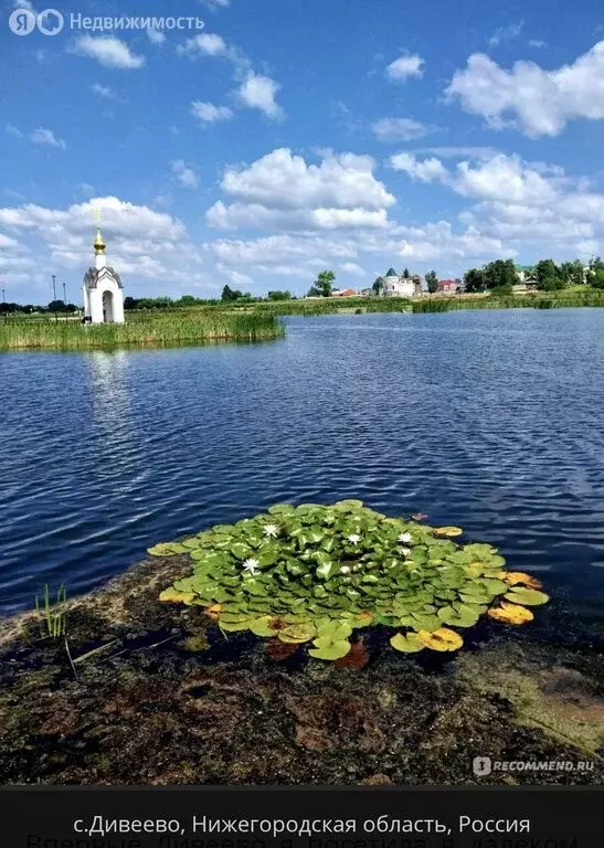 Участок в Нижегородская область, село Дивеево (3358 м) - Фото 2