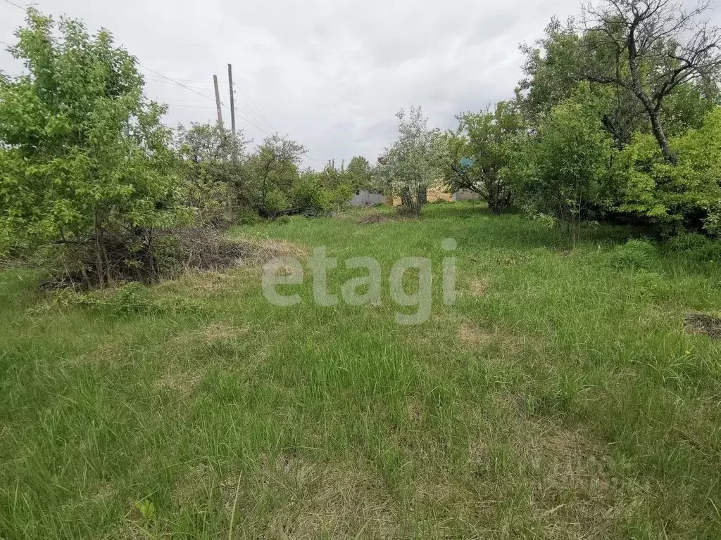 Участок в Брянская область, Брянск Ветеран-1 садовое дачное ... - Фото 1