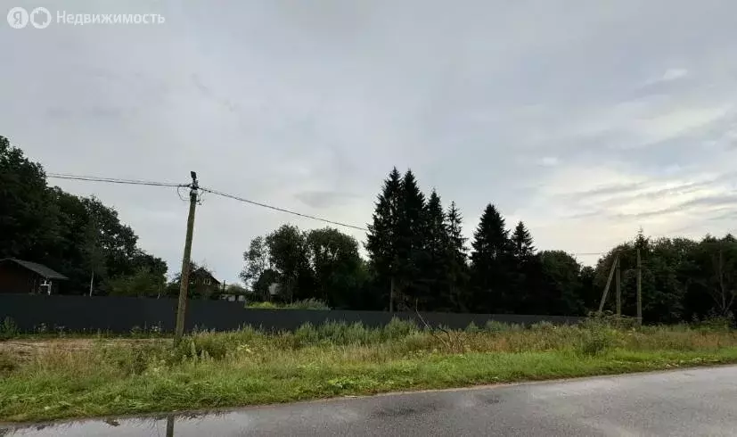 Участок в Волосовский район, Бегуницкое сельское поселение, деревня ... - Фото 1