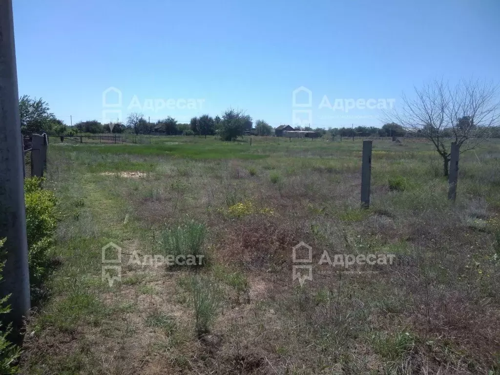 Участок в Волгоградская область, Среднеахтубинский район, Кировское ... - Фото 1