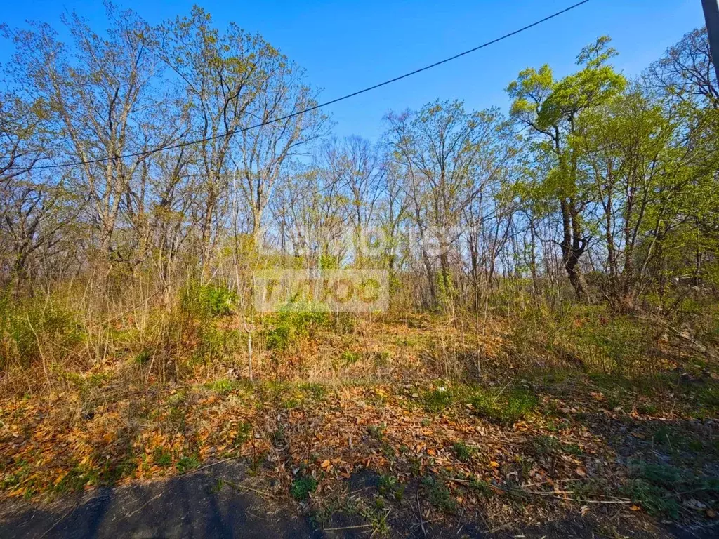 Участок в Приморский край, Фокино Горная ул., 18 (20.0 сот.) - Фото 1