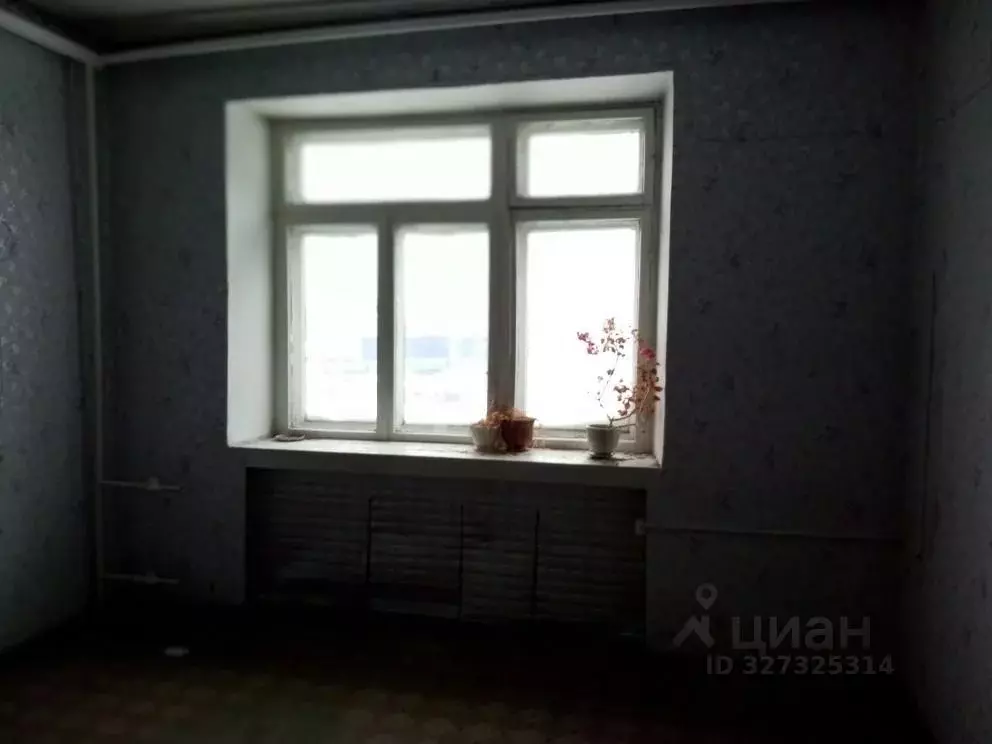 Помещение свободного назначения в Свердловская область, Тавда ул. ... - Фото 1