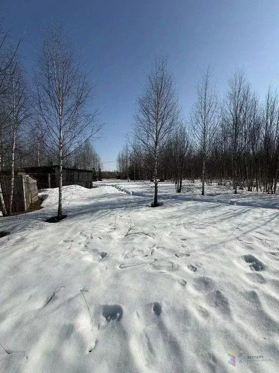 Участок, 6.5 сот., сельхоз (снт или днп) - Фото 1