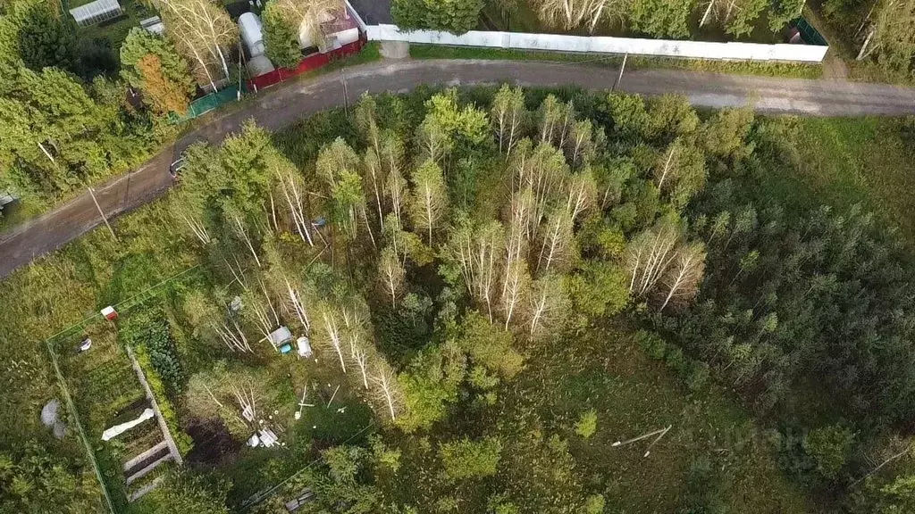 Участок в Томская область, Томский район, Богашевское с/пос, Офицеры ... - Фото 1