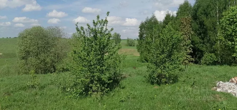 Участок в Московская область, Коломна городской округ, д. Сычево  ... - Фото 1
