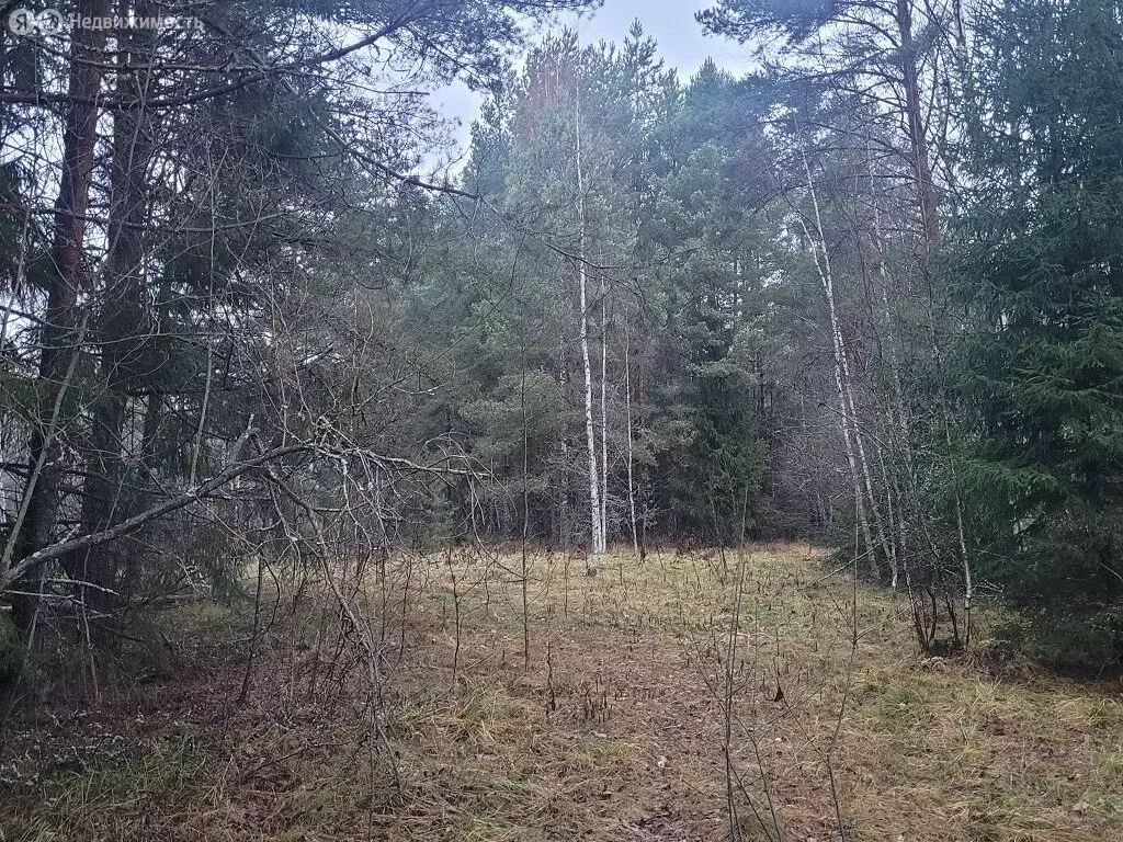 Участок в Лебяженское городское поселение, садоводческое ... - Фото 0