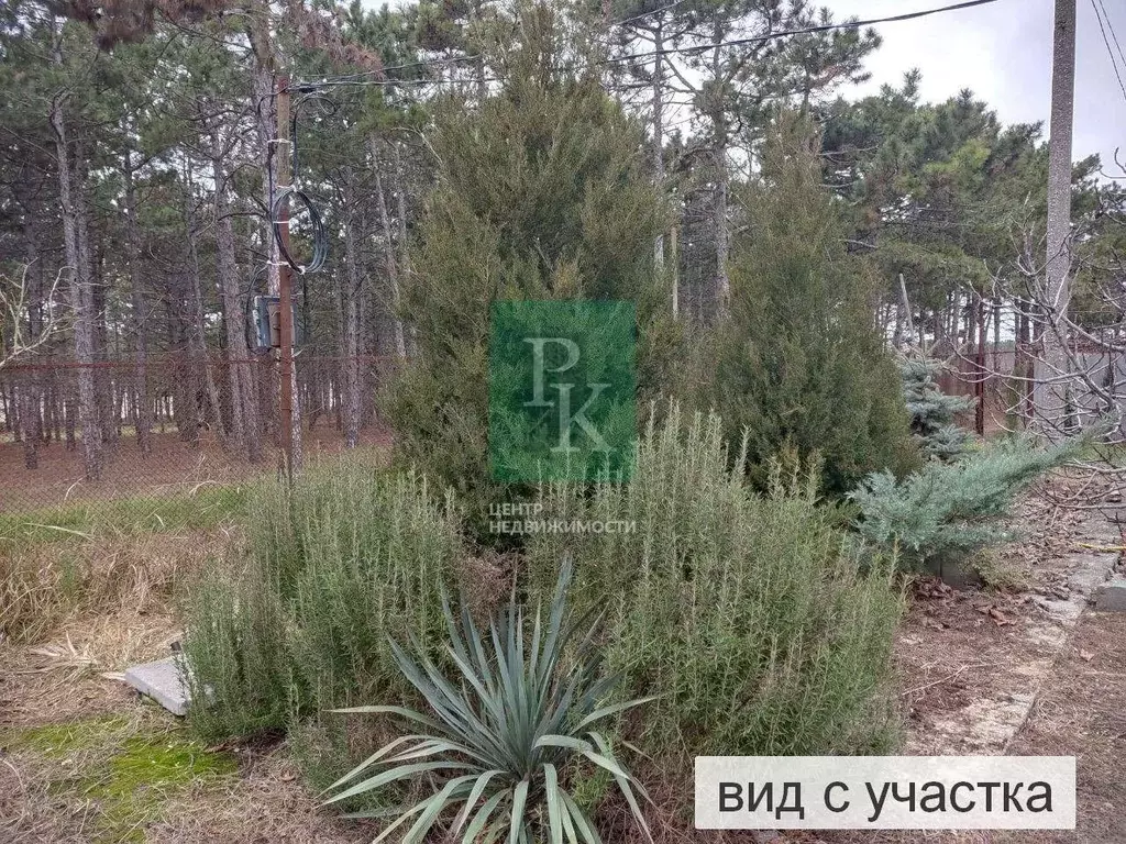 Дом в Севастополь Строитель-1 садовое товарищество, 10 (39 м) - Фото 1