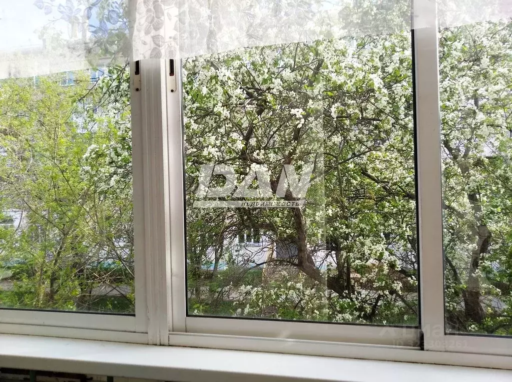 2-к кв. Челябинская область, Златоуст Дворцовая ул., 9 (41.4 м) - Фото 1