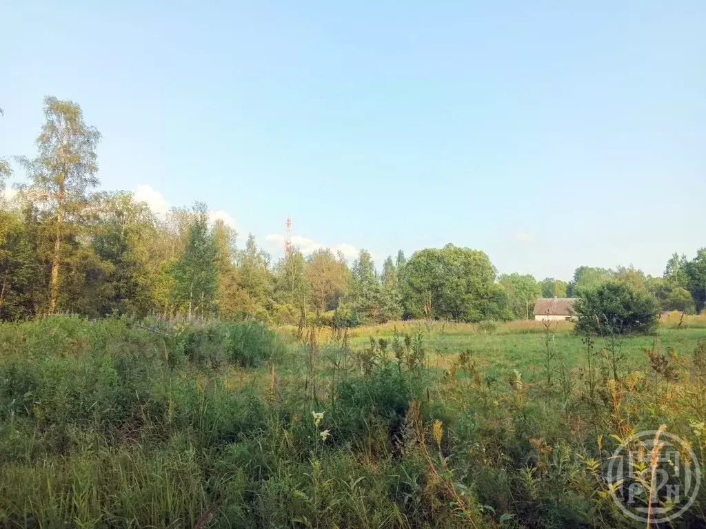 Участок в Ленинградская область, Выборгский район, Красносельское ... - Фото 2