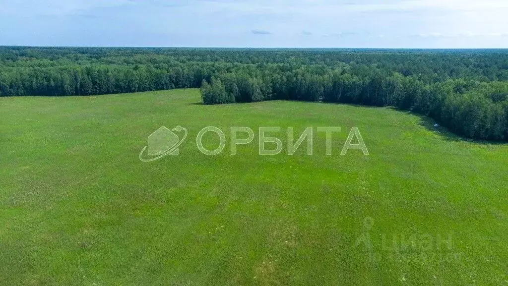 Участок в Тюменская область, Тюменский район, с. Кулига Заречная ул. ... - Фото 0
