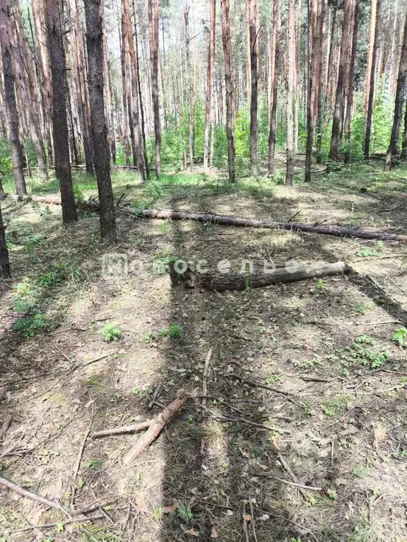Участок в Рязанская область, Рязань ул. Дунай, 33А (6.0 сот.) - Фото 2