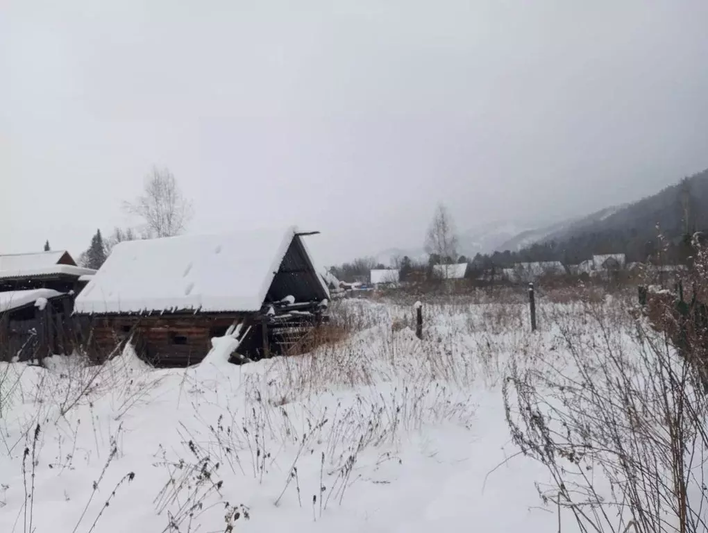 Участок в Алтай, Майминский район, с. Соузга Лесная ул. (6.0 сот.) - Фото 1