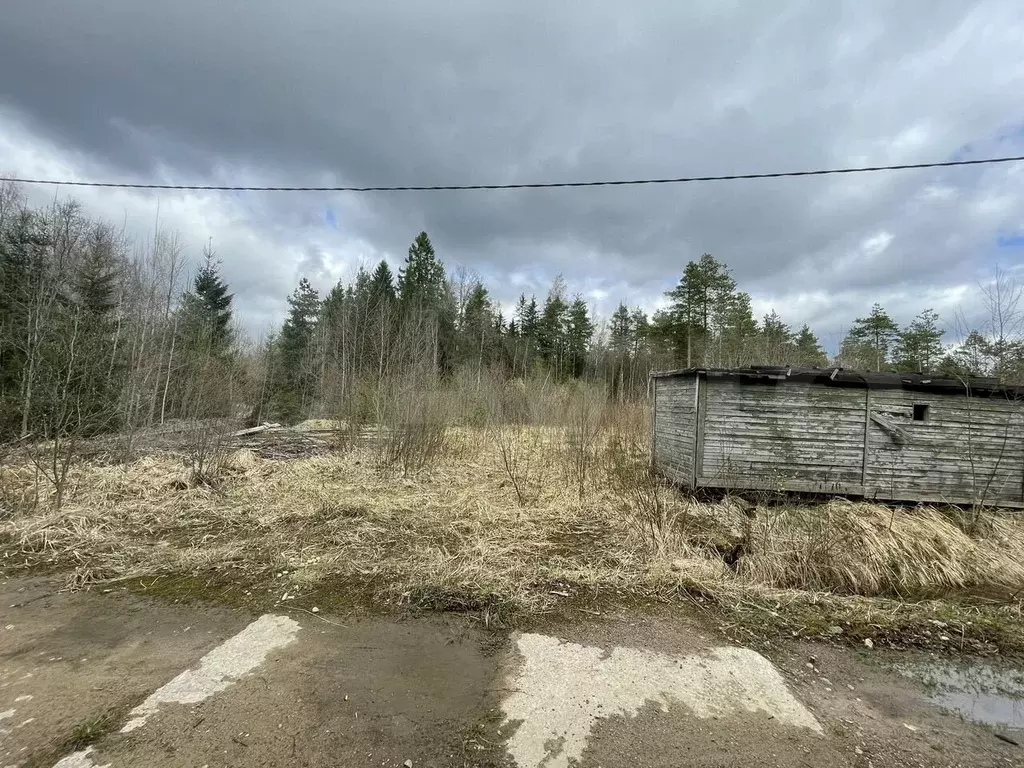 Участок 10 сот. (СНТ, ДНП) - Фото 0