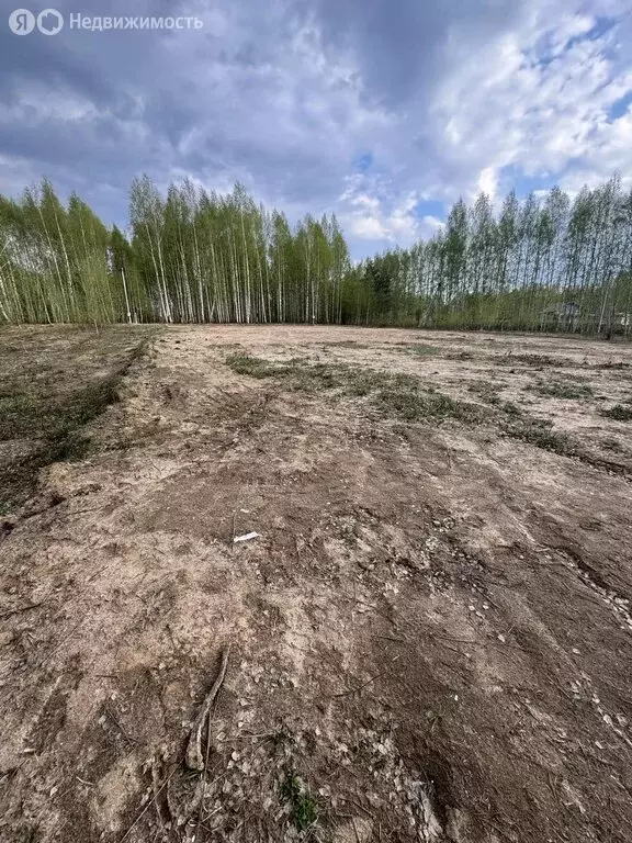 Участок в Нижегородская область, муниципальный округ Чкаловск, деревня ... - Фото 1