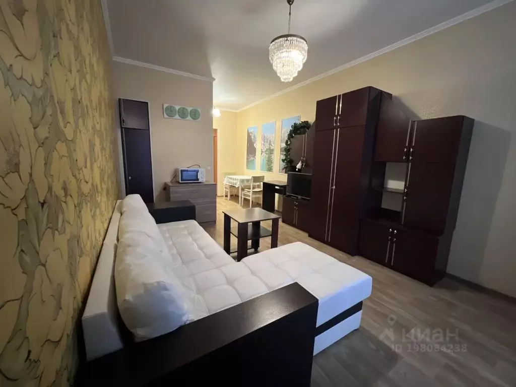 Студия Санкт-Петербург просп. Просвещения, 43 (25.0 м) - Фото 1