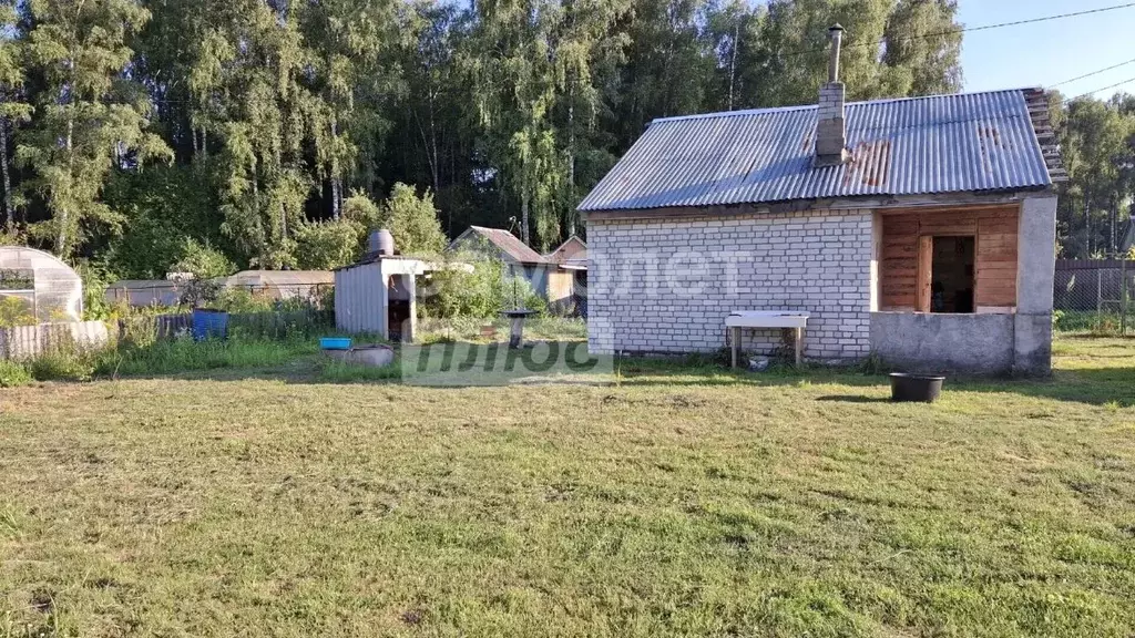 Участок в Брянская область, Брянский район, Нетьинское с/пос, Любитель ... - Фото 1