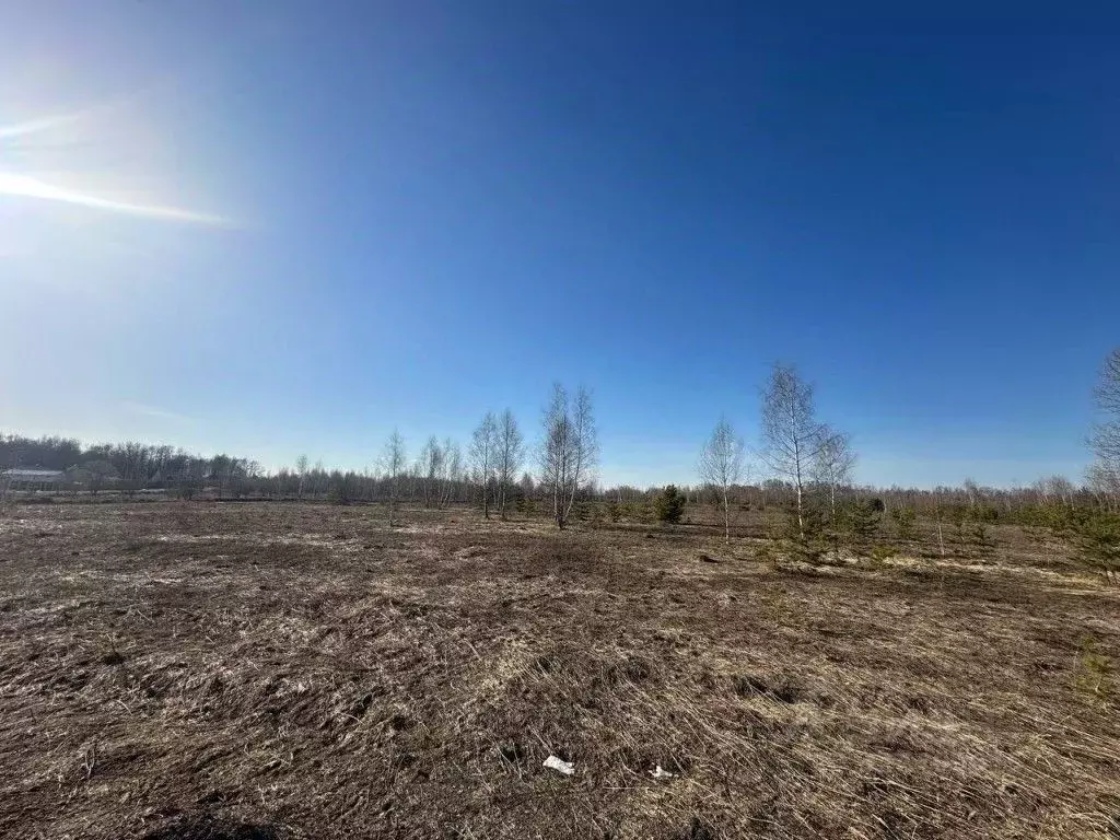 Участок в Татарстан, Высокогорский район, Дачное с/пос, д. Яшь Кеч ул. ... - Фото 2