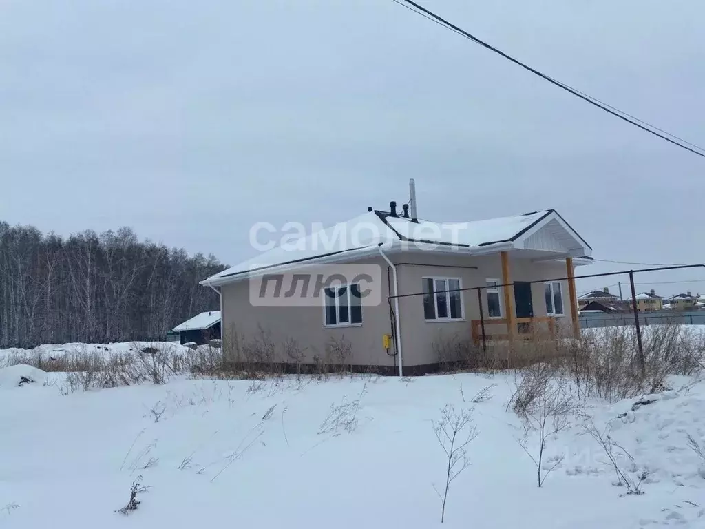 Дом в Омская область, Омский район, Пушкинское с/пос, д. Ракитинка ул. ... - Фото 1