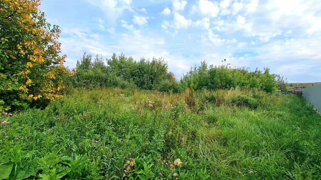 Участок в Челябинская область, Еманжелинский муниципальный округ, ... - Фото 2