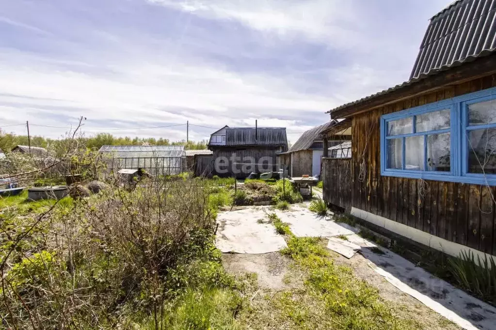 Дом в Тюменская область, Тюменский муниципальный округ, Рассвет-1 СНТ ... - Фото 1