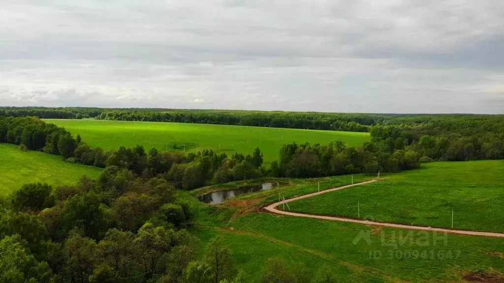 Участок в Тульская область, Заокский район, Демидовское с/пос, с. ... - Фото 2