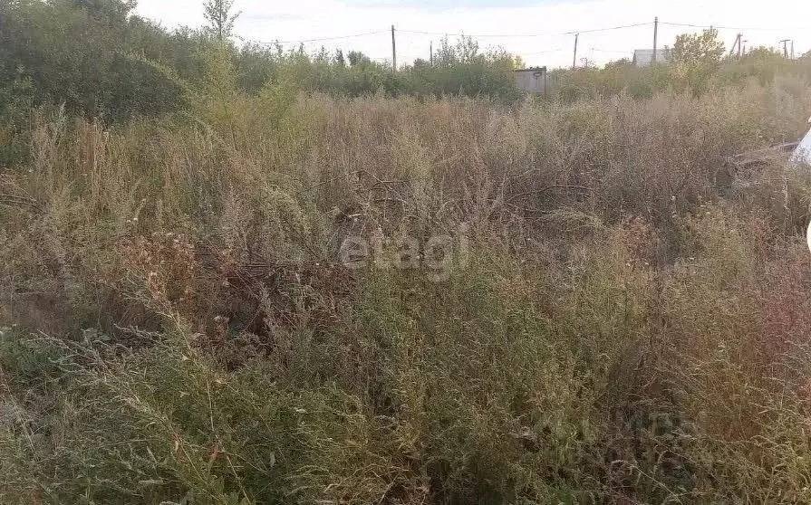 Участок в Оренбургская область, Оренбургский район, Ленинский ... - Фото 0