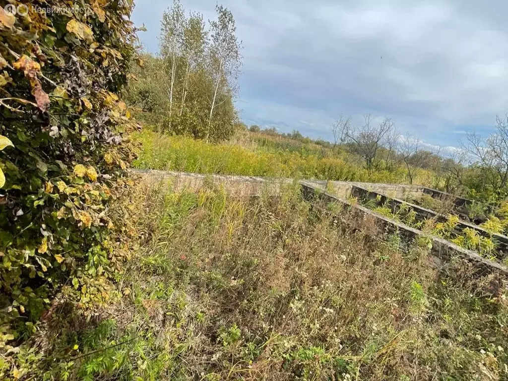 Участок в Хабаровск, улица 2-я Надежда-2 (7 м) - Фото 0