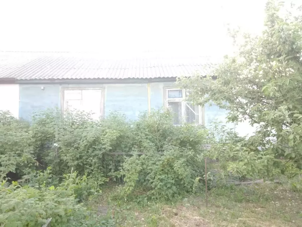 2-комнатная квартира: село Новопетропавловское, Вторая улица ГРП, 45 ... - Фото 0