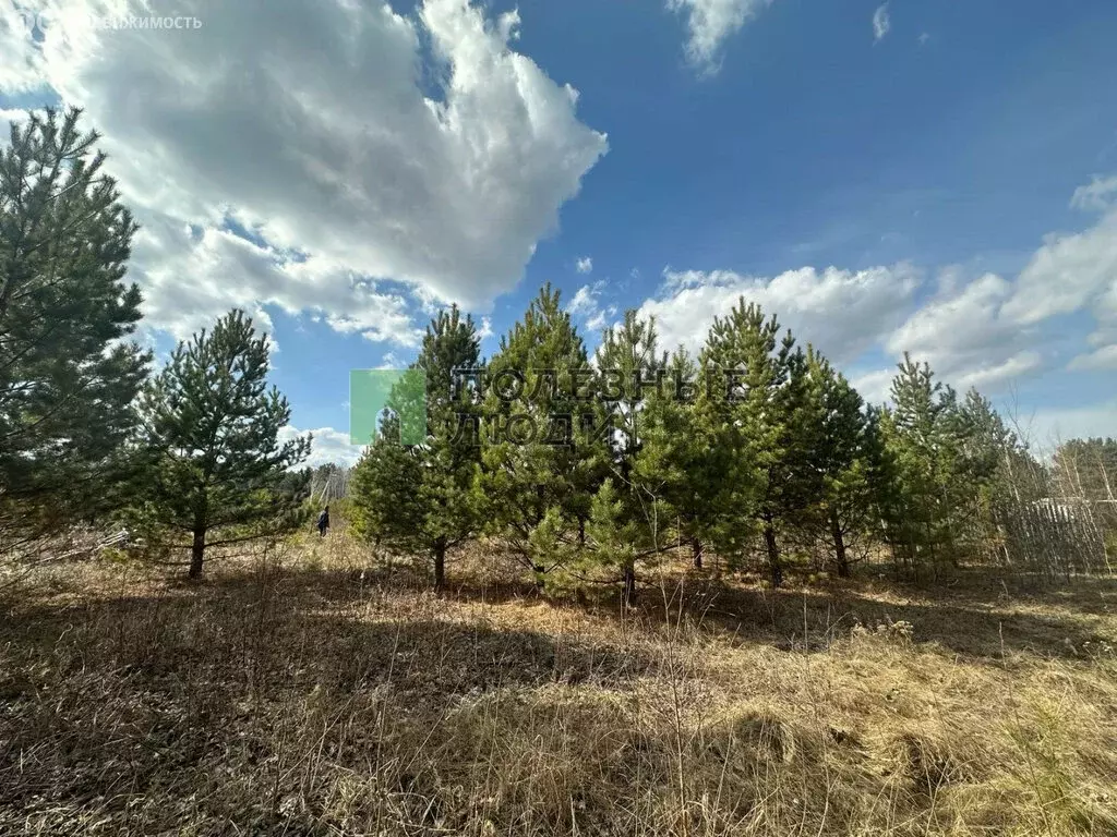 Участок в Красноярский край, Емельяновский муниципальный округ, СНТ ... - Фото 2