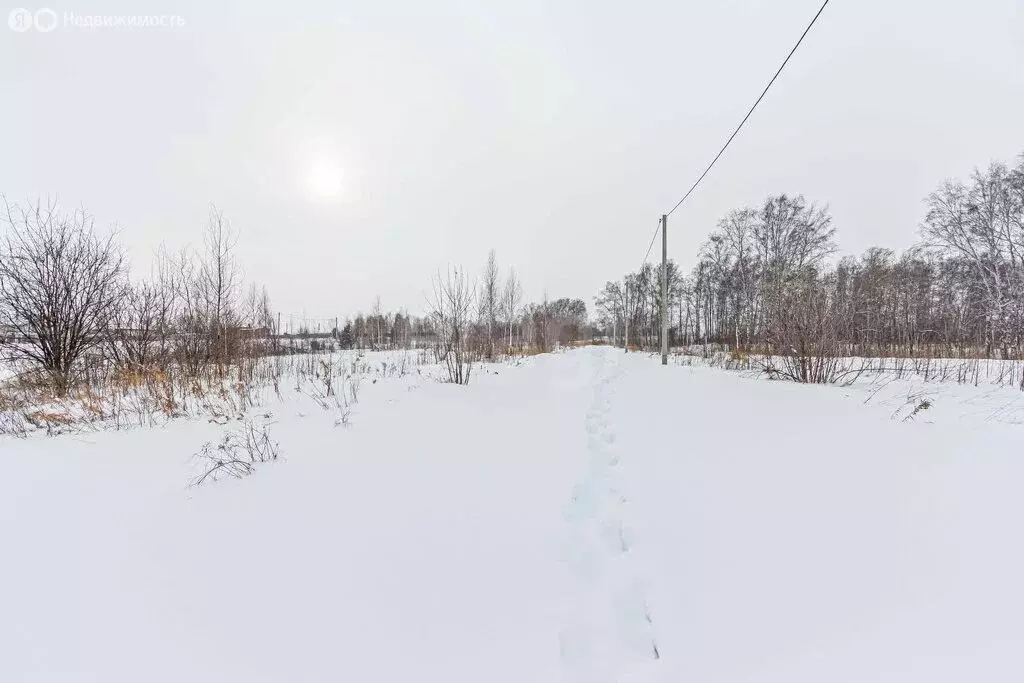 Участок в Бердск, Мировая улица (7.5 м) - Фото 1