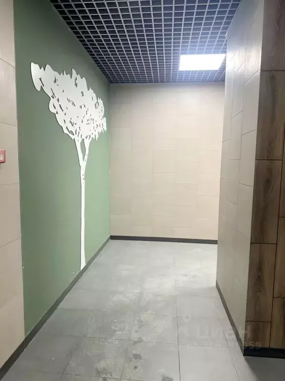 Студия Санкт-Петербург пос. Шушары, ул. Чудовская, 14к1 (22.0 м) - Фото 1