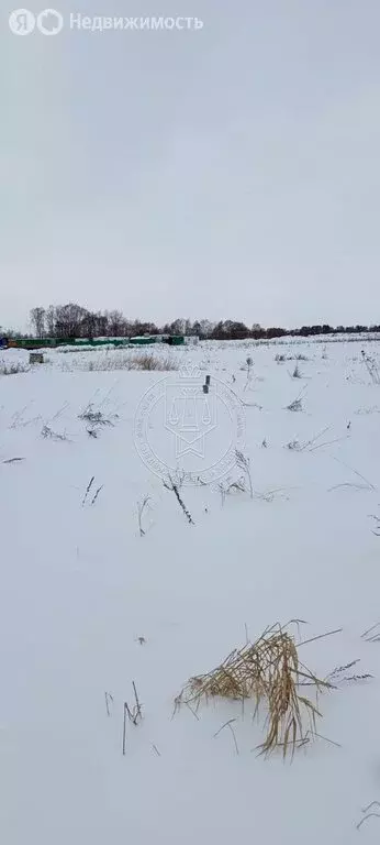 Участок в Лаишевский район, Егорьевское сельское поселение, деревня ... - Фото 1