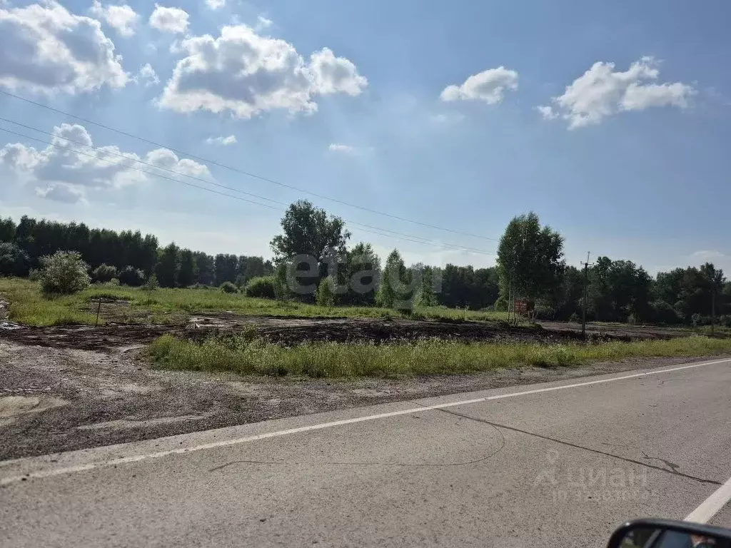 Участок в Новосибирская область, Мошковский район, с. Сокур  (10.0 ... - Фото 2