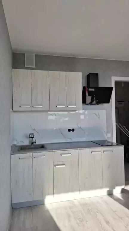 Студия Санкт-Петербург пос. Шушары, Московское ш., 262к1 (25.0 м) - Фото 2