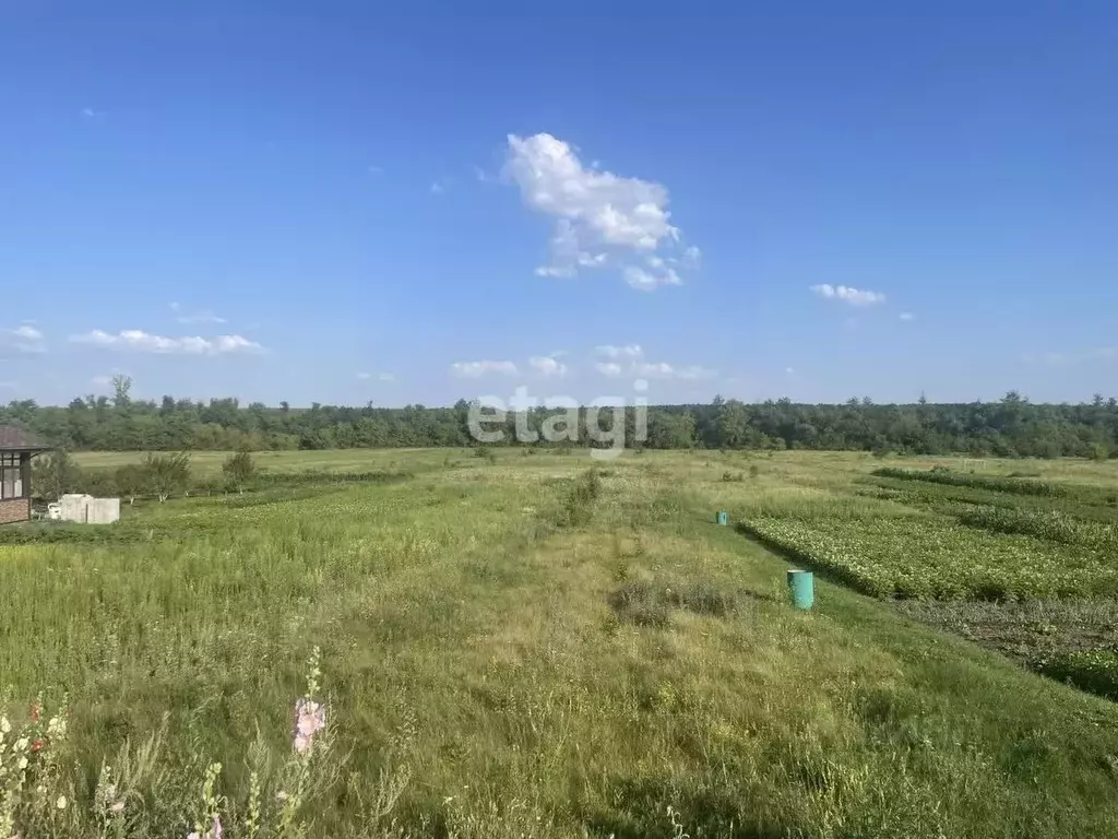 Участок в Белгородская область, Старооскольский городской округ, с. ... - Фото 0