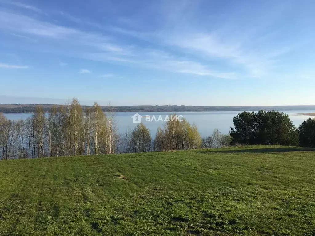 Участок в Пензенская область, Шемышейский район, Старояксарский ... - Фото 1