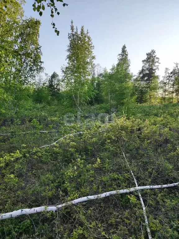 Участок, 10.3 сот., поселения (ижс) - Фото 1