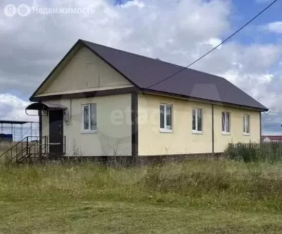 Дом в село Малояз, Родниковая улица (33 м) - Фото 1