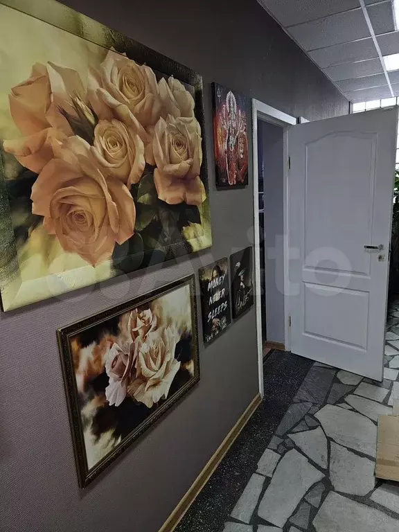 Свободного назначения, 15 м - Фото 0