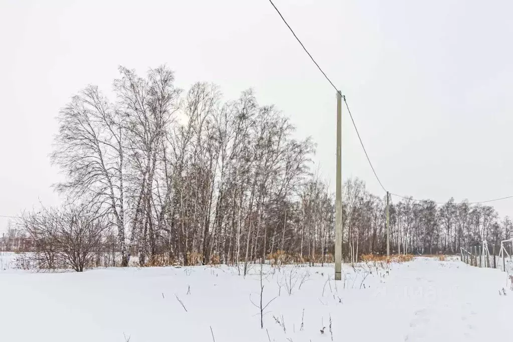 Участок в Новосибирская область, Бердск проезд Центральный (10.0 сот.) - Фото 1