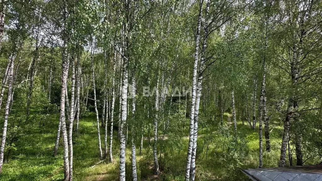 Дом в Нижегородская область, Богородский муниципальный округ, ... - Фото 1