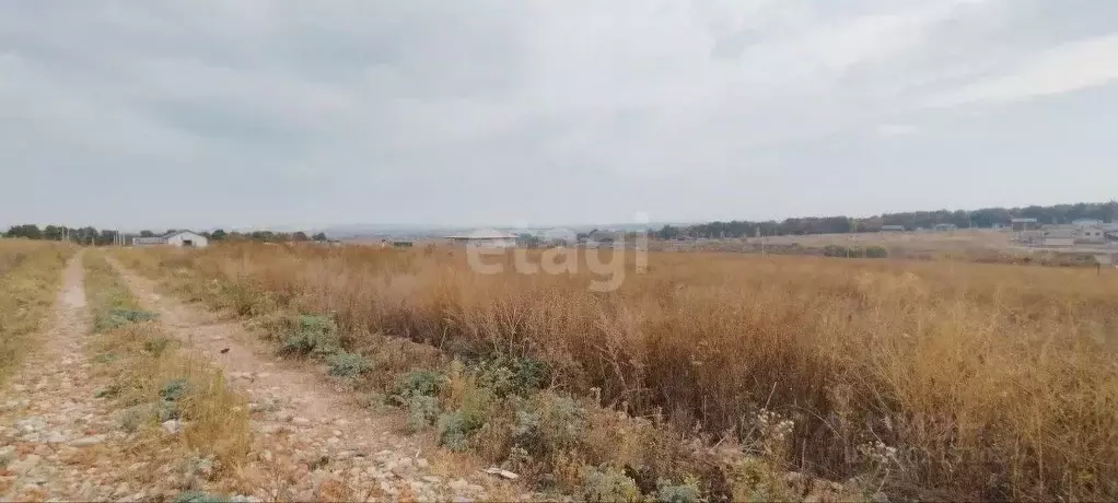 Участок в Воронежская область, Семилукский район, с. Девица ул. ... - Фото 1