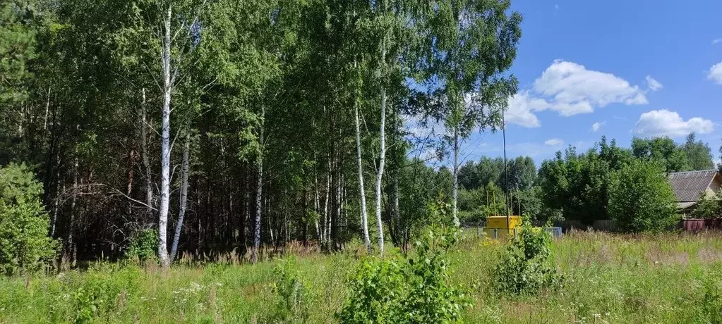 Участок в Рязанская область, Клепиковский район, Алексеевское с/пос  ... - Фото 1