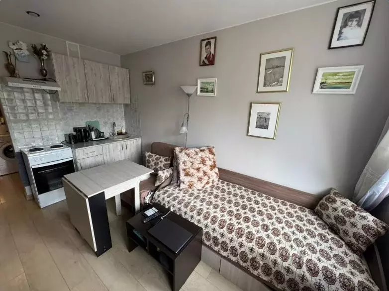 Студия Московская область, Ивантеевка Пушкинский городской округ, ... - Фото 1