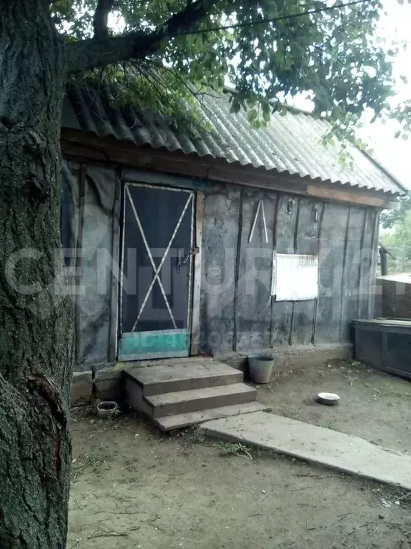 Погода новая полтавка волгоградская область старополтавский