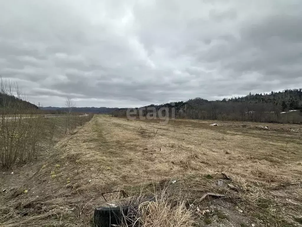Участок в Сахалинская область, Анивский городской округ, с. Огоньки  ... - Фото 1