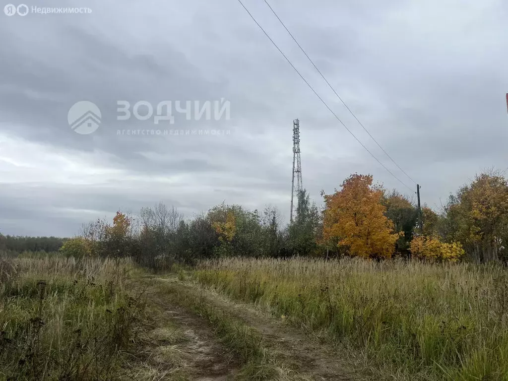 Участок в Московская область, городской округ Мытищи, деревня ... - Фото 1