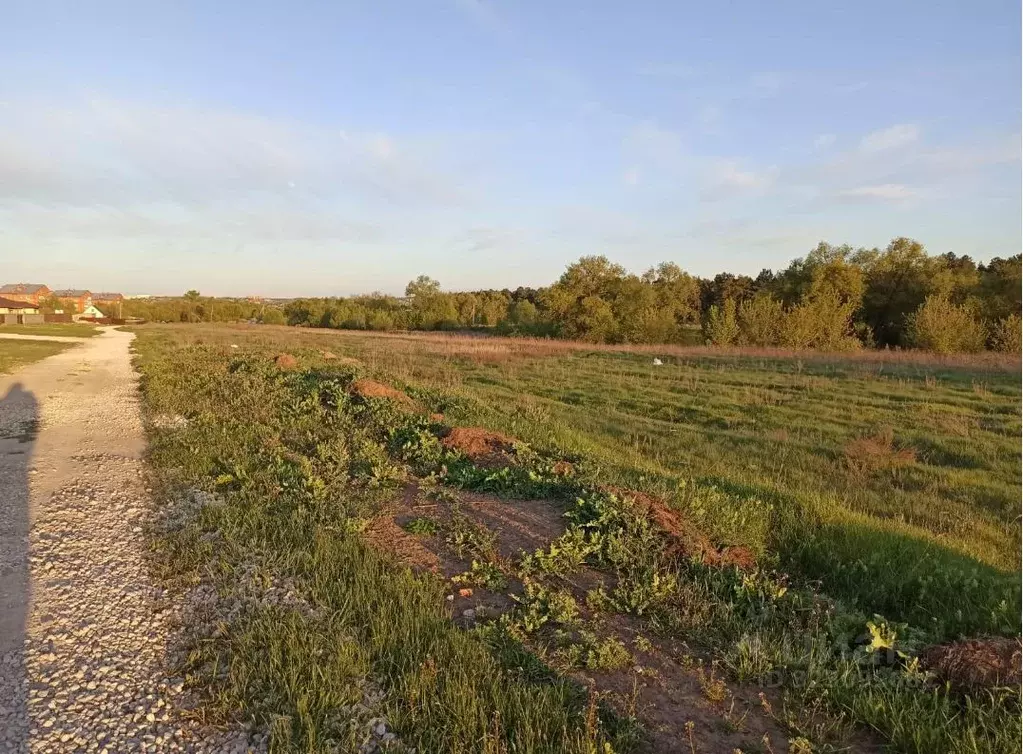 Участок в Московская область, Ступино ул. Туманная (20.0 сот.) - Фото 1