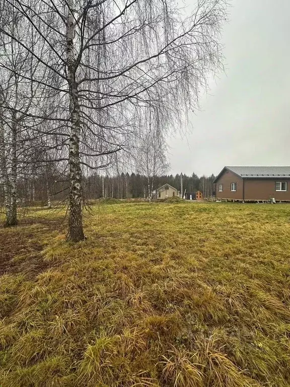 Участок в Московская область, Дмитровский муниципальный округ, ... - Фото 1